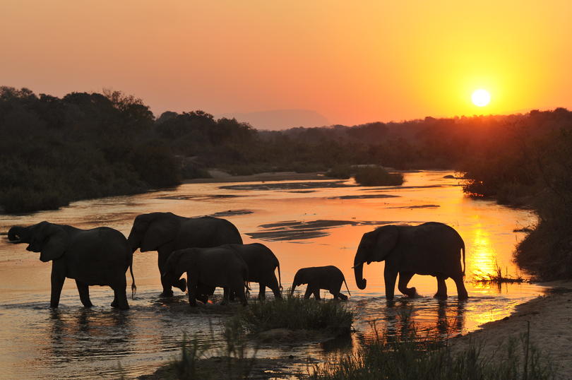 inyati_game_lodge_-_ellie_sunset