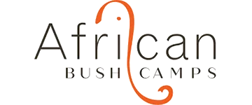 africanlogo
