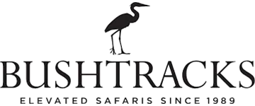 bushlogo