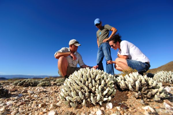Sanbona Wildlife Reserve, Interiors, Exteriors and Guest Experience