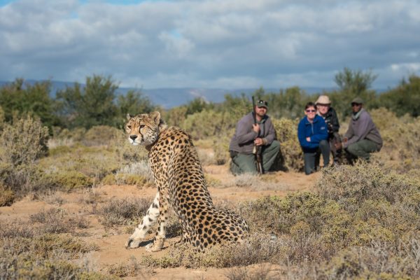 Sanbona Walking Safari