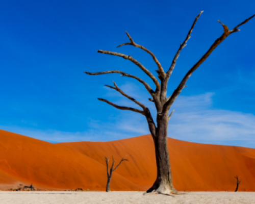 Sossusvlei - Deadvlei