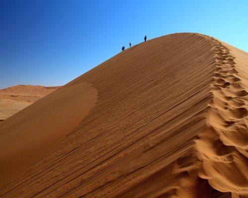 Sossusvlei Dune 45